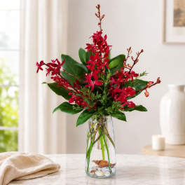 Red Elephant Orchids Vase