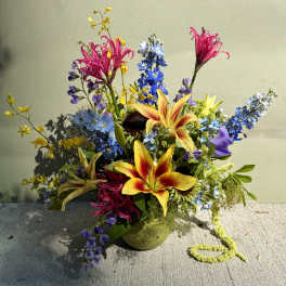 Tropicana (Designer’s Choice)