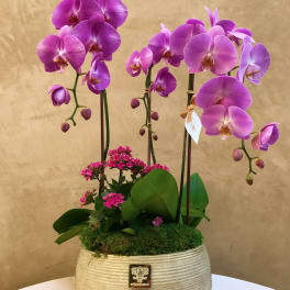 Purple orchids arranged in a woven planter with pink blooms