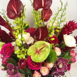 Tropical bouquet with burgundy anthuriums, roses, and orchids in a vase