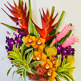 Tropical arrangement with orange heliconia, orchids, and pink ginger in a white vase