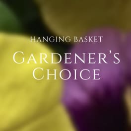 Gardener's Choice Hanging Basket GC-S005