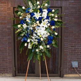 Blue & White Luxury