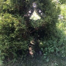 Garden Delight