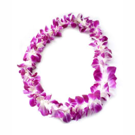 Purple and white orchid lei on a white background