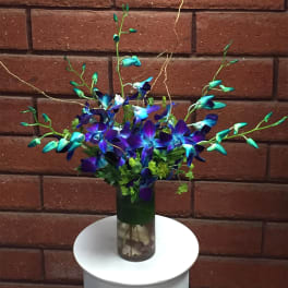 Blue and purple orchid arrangement in a glass vase
