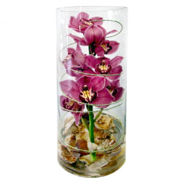 Pink orchids in a clear glass cylinder with seashells at the base