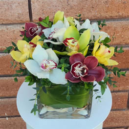Bouquet of orchids in a clear square vase with green ribbon