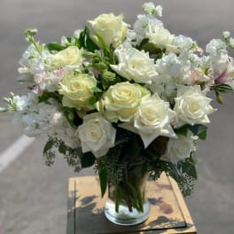 Snow white Arrangement