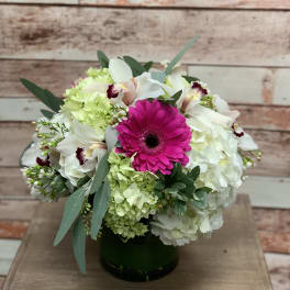 Bouquet of white hydrangeas and orchids with a bright pink gerbera in a dark vase