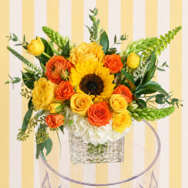 Golden Sunshine Garden – Mother’s Day Flowers | DFW Florist (Cube Vase)