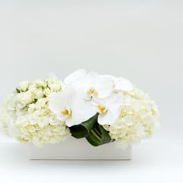 White orchid and hydrangea arrangement in a rectangular white vase