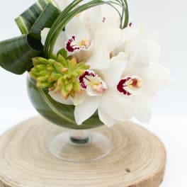 White orchids with a green succulent in a glass bowl
