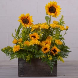 Whimsical Sunflower Box