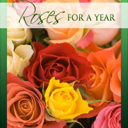 Colorful roses with the text "Roses for a Year"