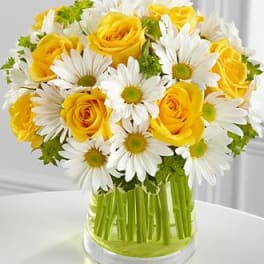 Springtime 11