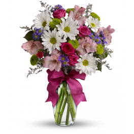 Pretty Please