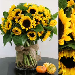 Large bouquet of yellow sunflowers in a glass vase with burlap bow and small pumpkins beside it