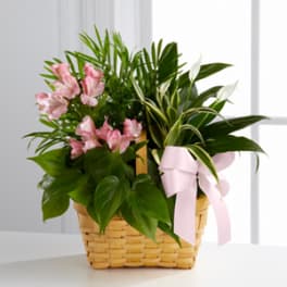 Pink flowers in a woven basket with a pale ribbon
