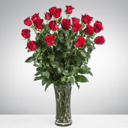 Tall vase of red roses with dense greenery