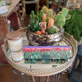 Sonoran Luxe Gift Cactus Garden- With A Desert Bloom Candle And Ethel M 5 Piece Chocolates