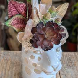Succulent arrangement in a white spotted ceramic face vase