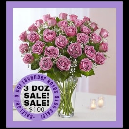 SALE LAVENDER ROSES 36