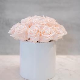 Blush Roses in White cylinder