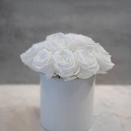 White Roses in White Cylinder