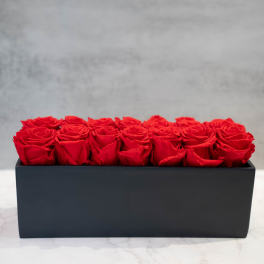 Red Preserved Roses in black ceramic rectangle