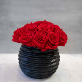 Red Preserved Roses in black bubble vase
