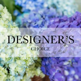 Close-up of blue, purple, and pale green hydrangeas with Designer's Choice text overlay