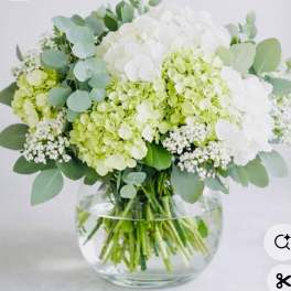 Heavenly Hydrangeas