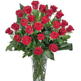 Two Dozen Premium Long Stem Roses