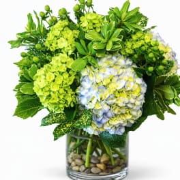 Green and blue hydrangea arrangement in a glass vase with pebbles