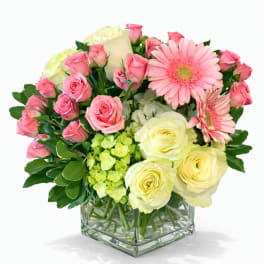 Pink and cream roses with pink gerbera daisies in a square glass vase