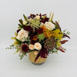 Low arrangement of cream roses and burgundy mums with golden accents in a gold ceramic vase