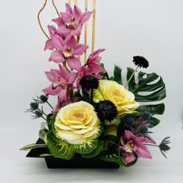 Contemporary arrangement with pink orchids, yellow ornamental cabbages and dark accent blooms in a black tray.