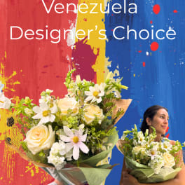 Designer’s Choice Venezuela