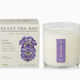 Heath Lavender - Plant the Box Candle - 9oz.