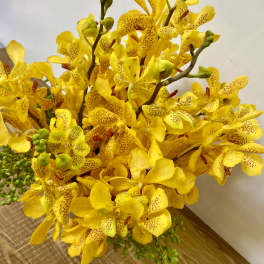 Yellow orchid bouquet with speckled petals and green buds