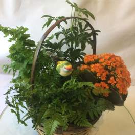 All Our Love Plant Basket