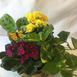 A Touch of Elegance Planter