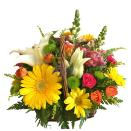 Basket arrangement with yellow daisies, white calla lilies, and mixed blooms