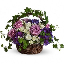 Basket of purple and white roses with ivy
