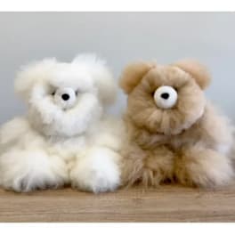 Two fluffy teddy bears, one white and one tan, sitting side by side