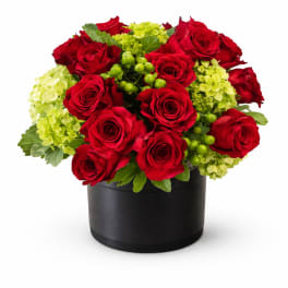 Red roses and lime-green hydrangeas arranged in a black hatbox