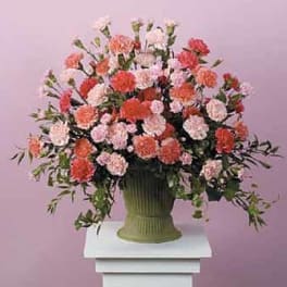 Large urn arrangement of pink and coral carnations on a pedestal against a pink background