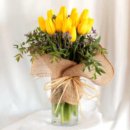 Hello Yellow Tulips