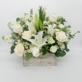 White roses and lilies arranged in a wooden box with a sheer white bow.